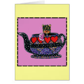 Cute Yorkie Poo (Front)