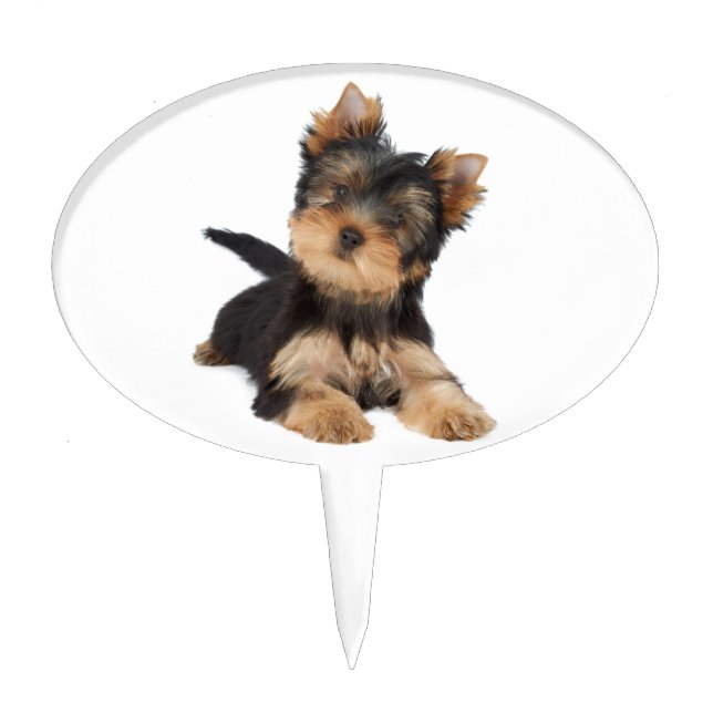 Cute yorkie puppy cake topper (Front)