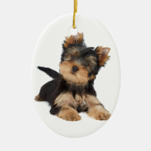 Cute yorkie puppy ceramic ornament