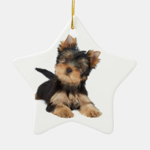 Cute yorkie puppy ceramic ornament