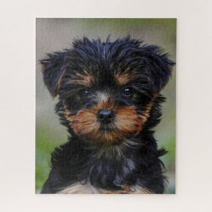  WZVZGZ Yorkie Dog 500 Piece Jigsaw Puzzle Jigsaw