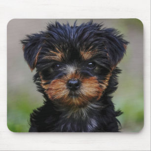 Cute Yorkie Puppy Mouse Pad