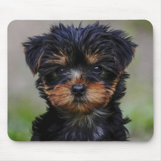 Cute Yorkie Puppy Mouse Pad (Front)