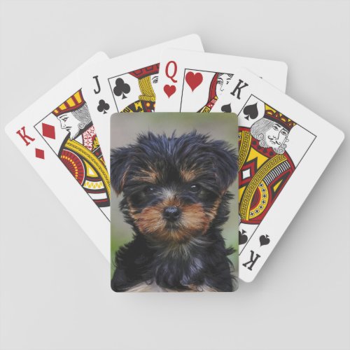 Cute Yorkie Puppy Playing Cards