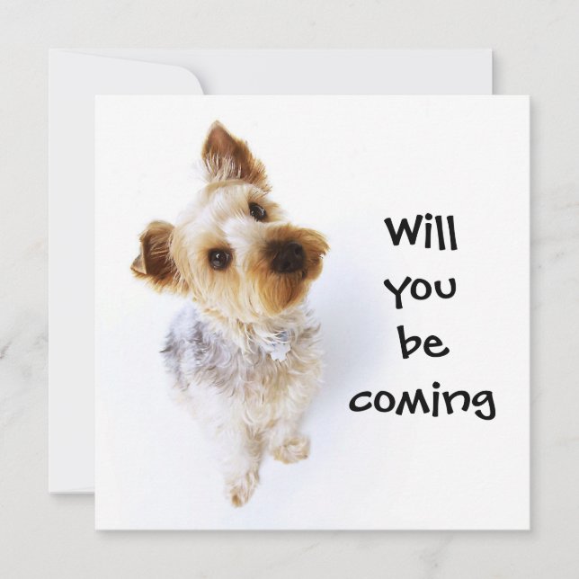 Cute Yorkie Puppy Yorkshire Terrier Party Invitation (Front)