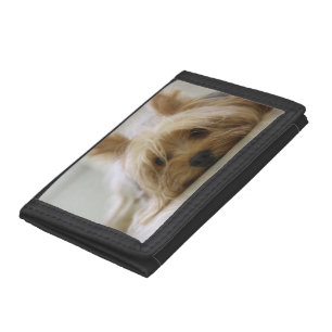 Cute Yorkie Tri-fold Wallet