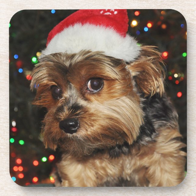 Cute Yorkie with Santa Hat Beverage Coaster (Front)