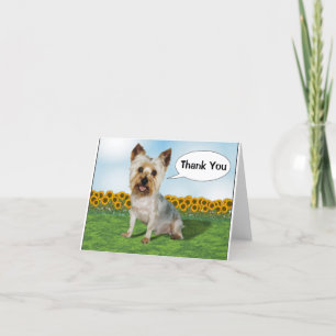 Cute Yorkie with Sunflowers Letterpress Thank You Card