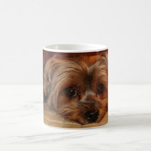 Cute Yorkie Yorkshire Terrier Puppy Dog Coffee Mug