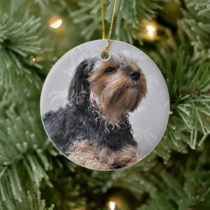 Cute Yorkie Yorkshire Terrier Sunbathing Ceramic Ornament