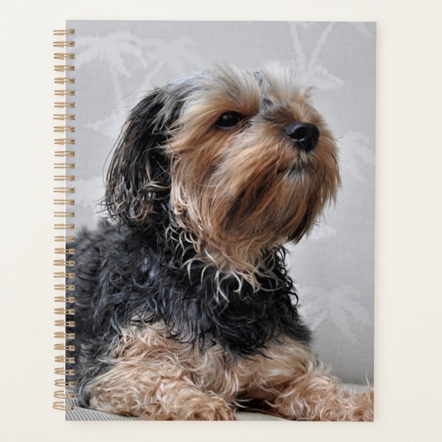 Cute Yorkie Yorkshire Terrier Sunbathing  Planner (Front)