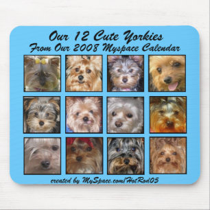 CUTE YORKIES 2008 CALENDAR (on a mousepad) Mouse Pad