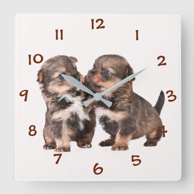 Cute Yorkshire Puppies Square Wall Clock (Front)