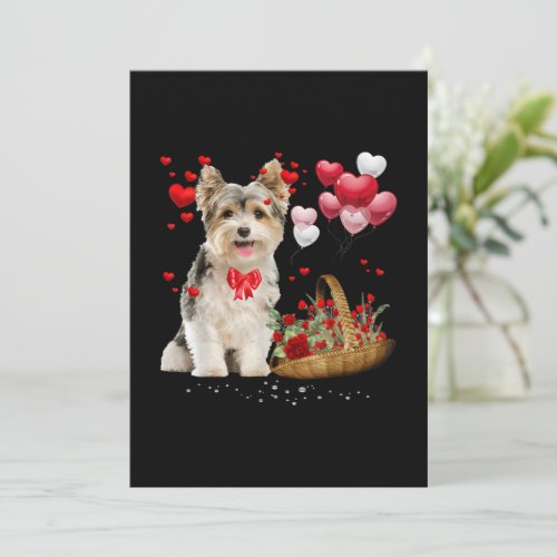 Cute Yorkshire Terrier Balloon Heart Valentine Day