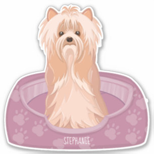 Cute Yorkshire Terrier Birthday Sticker