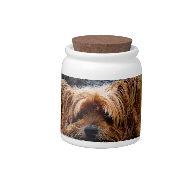 Cute Yorkshire Terrier Dog Candy Jar (Left)