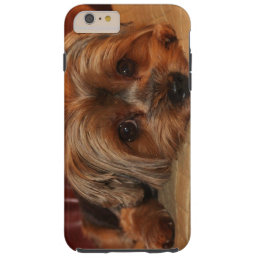 Cute Yorkshire Terrier Dog Tough iPhone 6 Plus Case