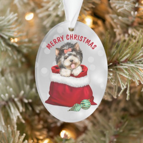 Cute Yorkshire Terrier Dog Gift Surprise Ornament
