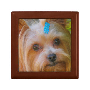 Cute Yorkshire Terrier Dog Head Gift Box