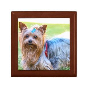 Cute Yorkshire Terrier Dog Head Gift Box