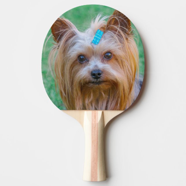 Cute Yorkshire Terrier Dog Head Ping Pong Paddle (Front)