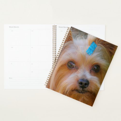 Cute Yorkshire Terrier Dog Head Planner