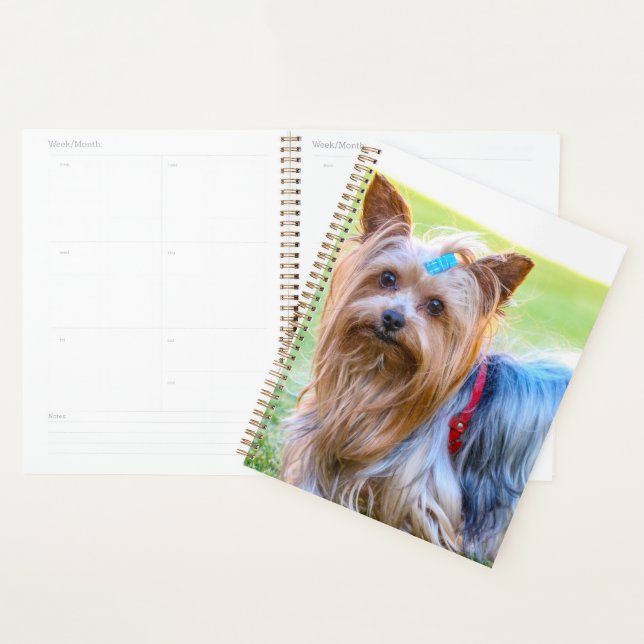 Cute Yorkshire Terrier Dog Head Planner (Display)