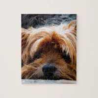 Cute Yorkshire Terrier Dog With Red Jigsaw Puzzle by Animal Images