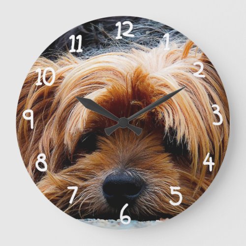 Cute Yorkshire Terrier Dog Large Clock