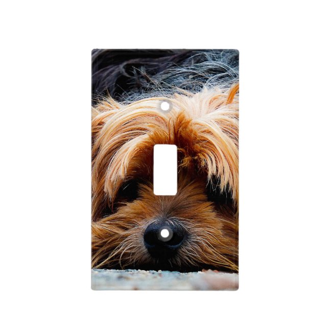 Cute Yorkshire Terrier Dog Light Switch Cover (Front)