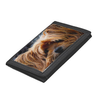 Cute Yorkshire Terrier Dog Tri-fold Wallet