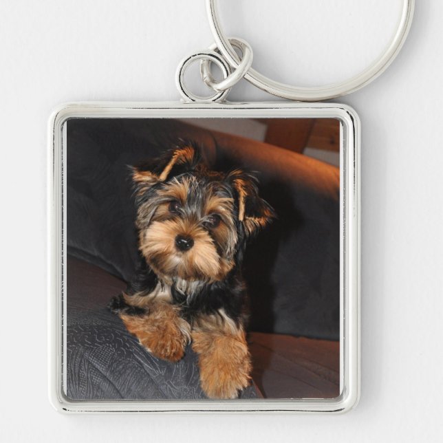 Cute Yorkshire Terrier Dog Yorkie Keychain (Front)