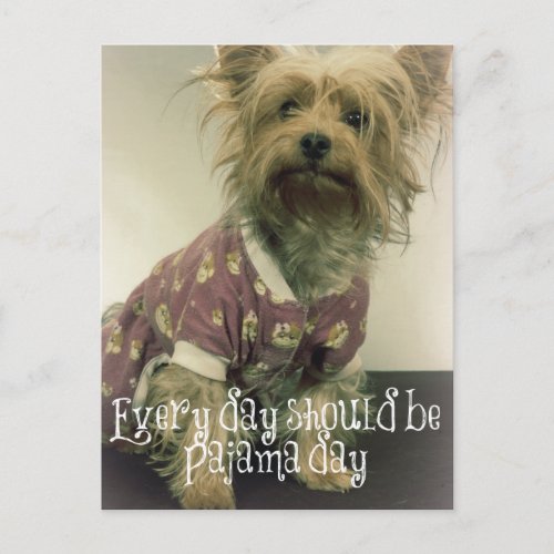 Cute Yorkshire Terrier in Pajamas with Quote Postcard