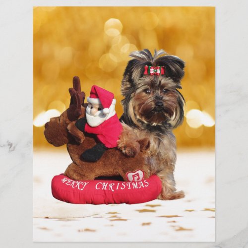 Cute Yorkshire Terrier Merry Christmas