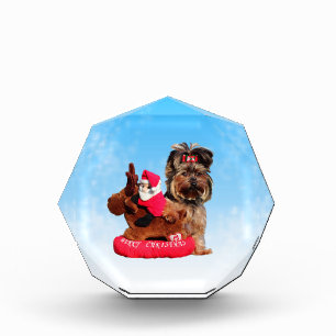 Cute Yorkshire Terrier Merry Christmas Award