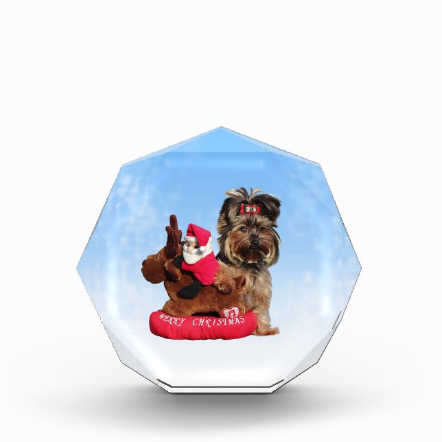 Cute Yorkshire Terrier Merry Christmas Award (Front)