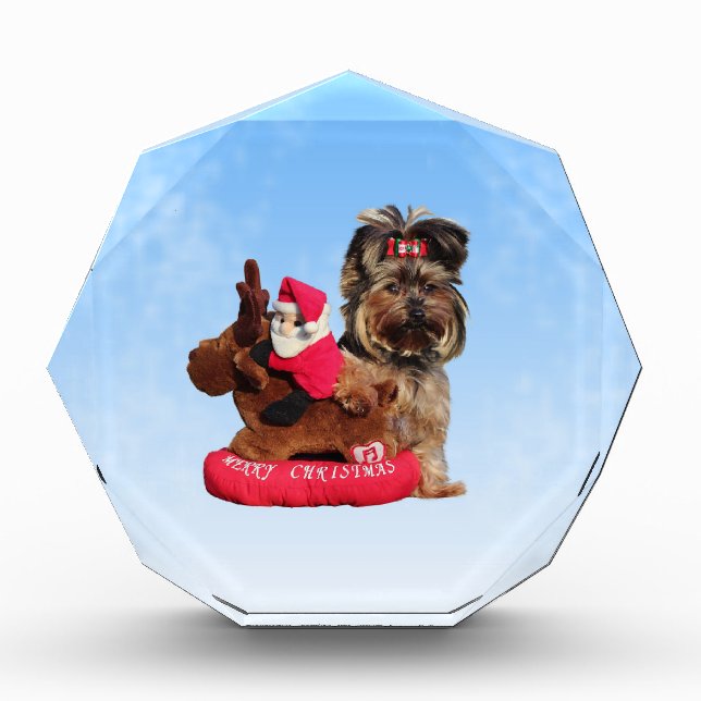 Cute Yorkshire Terrier Merry Christmas Award (Front)
