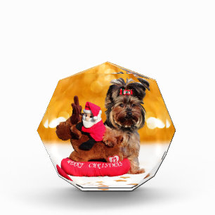 Cute Yorkshire Terrier Merry Christmas Award