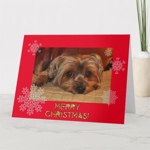 Cute Yorkshire Terrier Merry Christmas Card