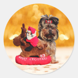 Cute Yorkshire Terrier Merry Christmas Classic Round Sticker