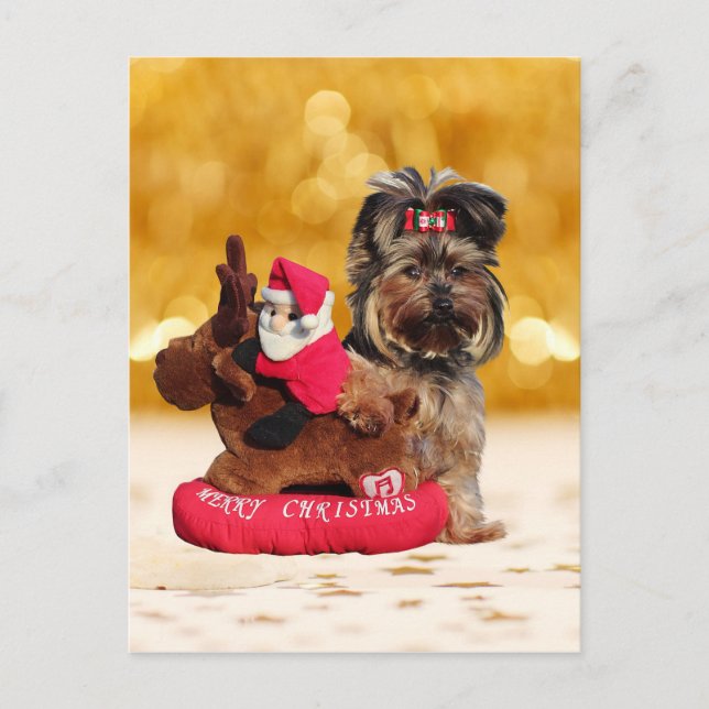 Cute Yorkshire Terrier Merry Christmas Holiday Postcard (Front)