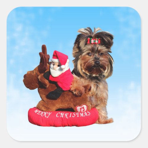 Cute Yorkshire Terrier Merry Christmas Square Sticker