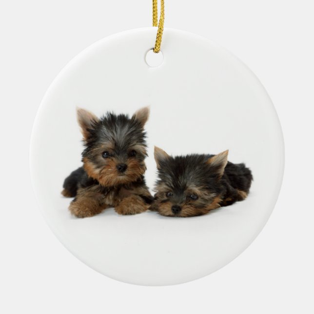 Cute Yorkshire Terrier puppies Ceramic Ornament (Front)