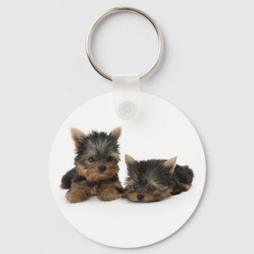 Cute Yorkshire Terrier puppies Keychain