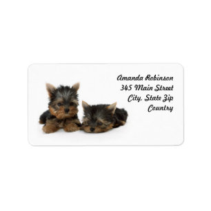 Cute Yorkshire Terrier puppies Label