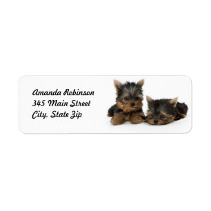 Cute Yorkshire Terrier puppies Label