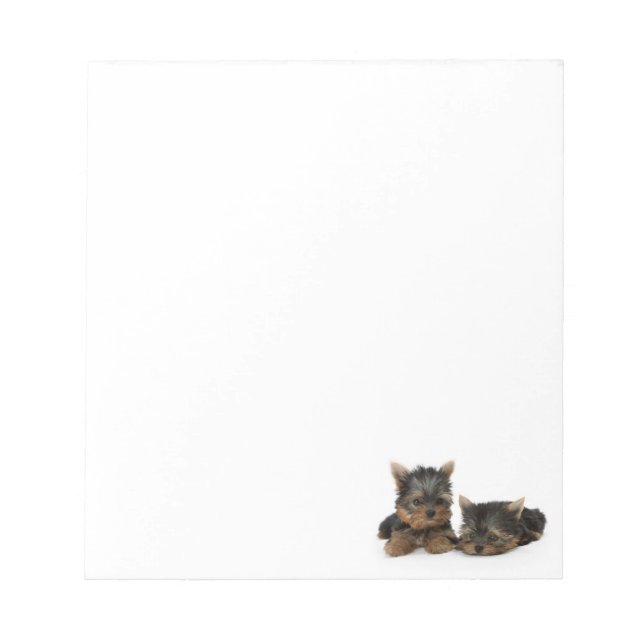 Cute Yorkshire Terrier puppies Notepad (Front)