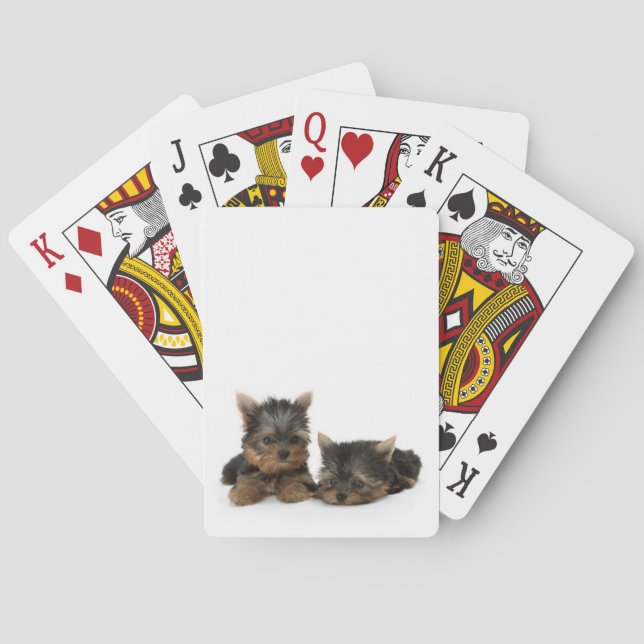 Cute Yorkshire Terrier puppies Poker Cards (Back)