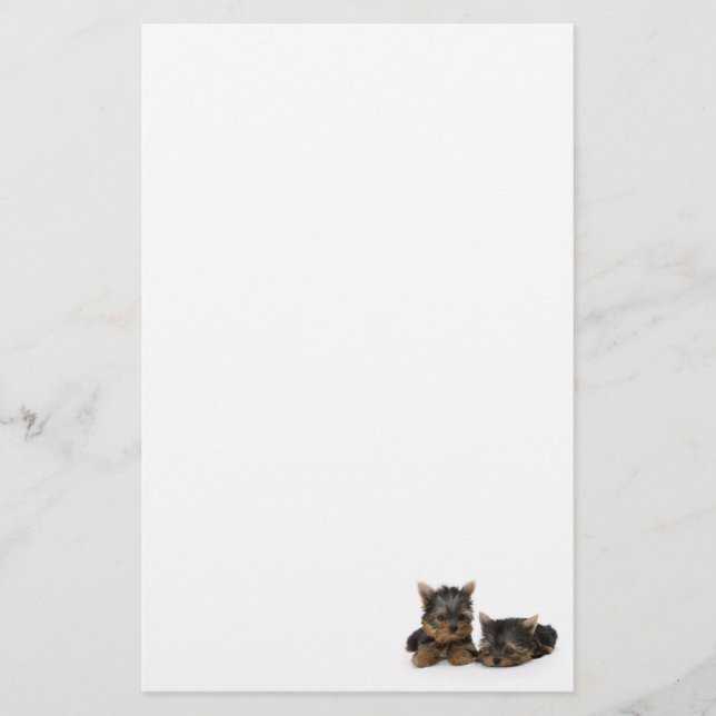 Cute Yorkshire Terrier puppies Stationery (Front)