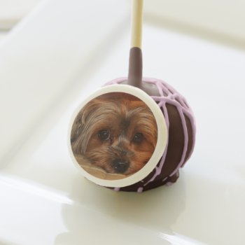 Cute Yorkshire Terrier Puppy Dog Cake Pops by Differentcorners at Zazzle